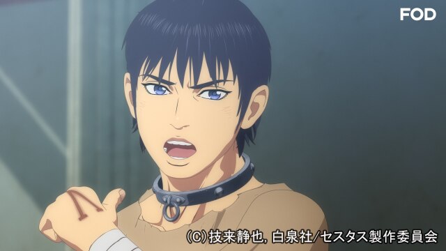 #3 拳闘の犬たち