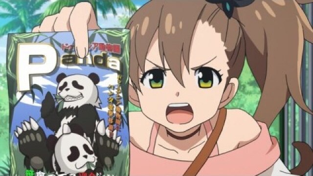 第19話 パンダが街にやってきた!