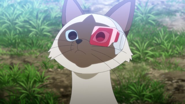 第149話 タフでニャくては生きていけニャい