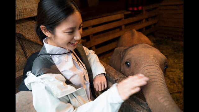 感動地球スペシャル　みなしごゾウを守れ 松下奈緒ケニア感動物語