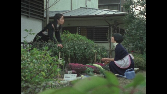 #35 恋はやさし野辺の花よ