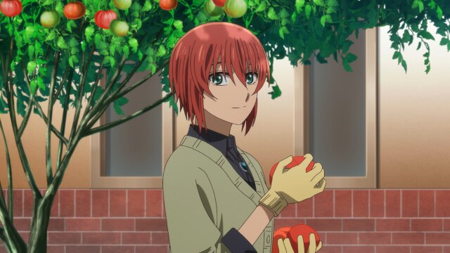 第17話~第24話
