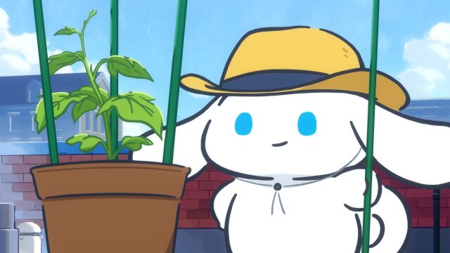 Episode 40 Rooftop Garden