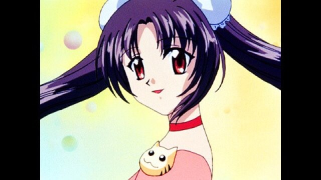 にゃーの4 「のこったのこった」