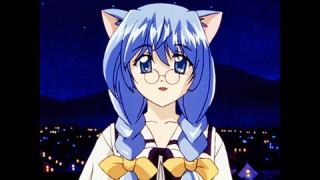 にゃーの5～にゃーの8