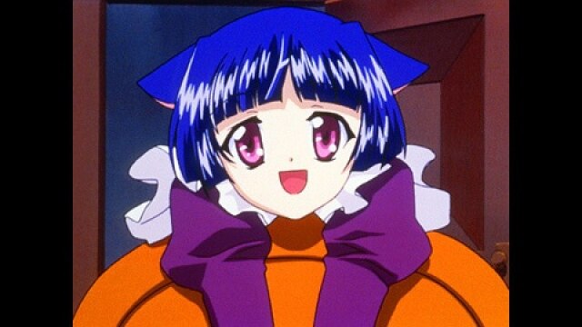 にゃーの6 「ちかちかきらきら」