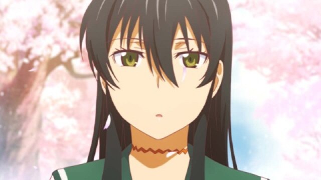 第8話 多華宮君と火々里さんの傷