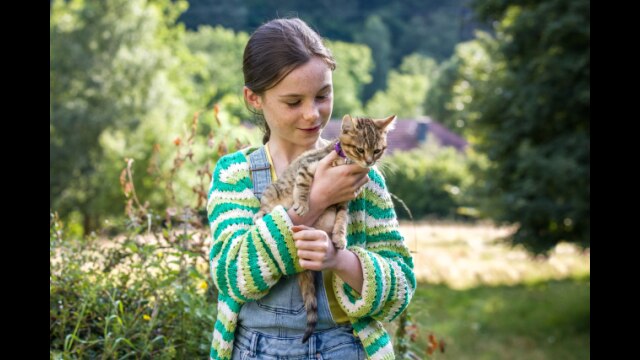 ルー、パリで生まれた猫