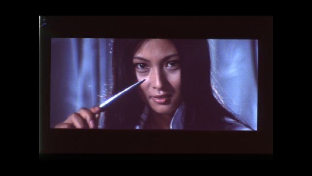 野良猫ロック セックス・ハンター｜カンテレドーガ【初回30日間無料