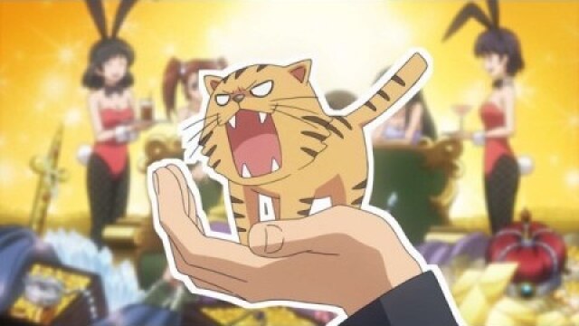 第14話 しあわせの手乗りタイガー