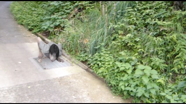 流出心霊動画 ～放送禁止編～