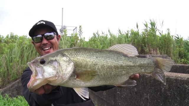 金森隆志 BIGSHOT8 夏・霞ヶ浦水系
