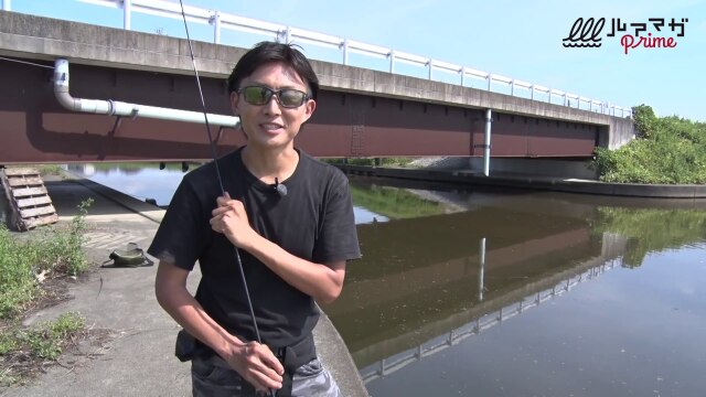赤松健が沖の魚を狙う理由