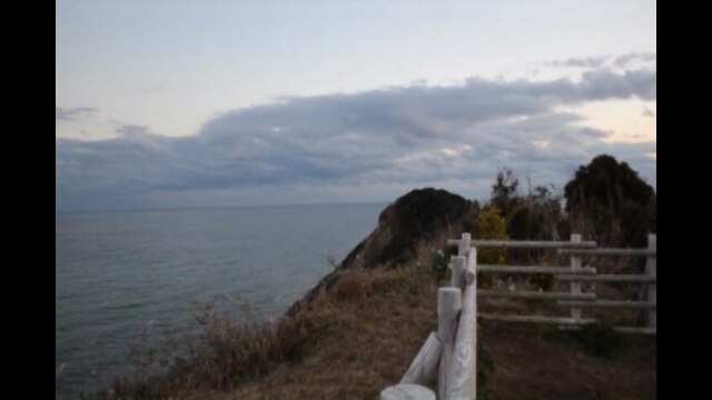 実録!!ほんとにあった恐怖の投稿映像～恐怖共鳴～