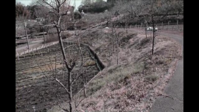 実録!!ほんとにあった恐怖の投稿映像～凄惨な呪い～