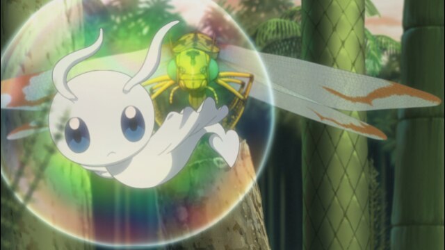 #5 追跡、メガネウラ!!