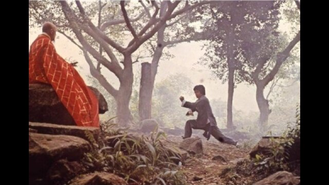 少林寺木人拳