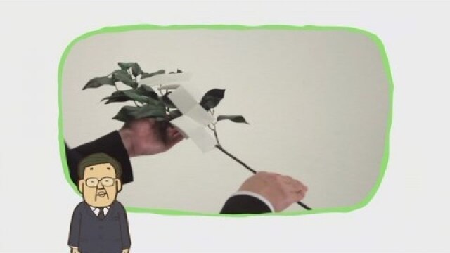 #5 【仏式以外の作法】神式における玉串奉奠/神式における手水/キリスト教式の献花