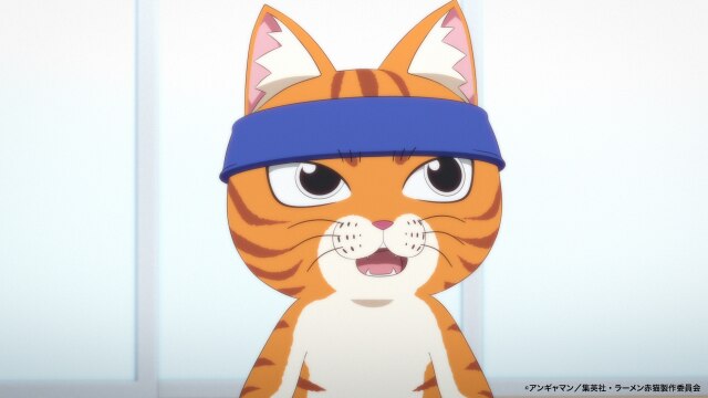 四杯目 『ふんわりタイガー』『⻁打麺』『夜更かし猫』『ちょっと前のお話』