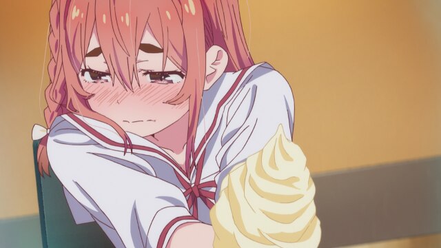 第11話 「真実と彼女」－シンカノ－