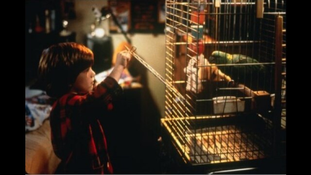 ホーム・アローン3