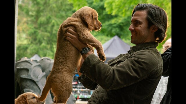 エンツォ レーサーになりたかった犬とある家族の物語