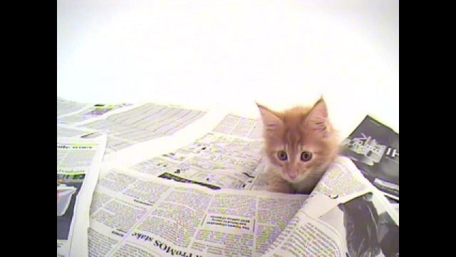 スペシャルバリューパック3(Vol.9 ～Vol.13)