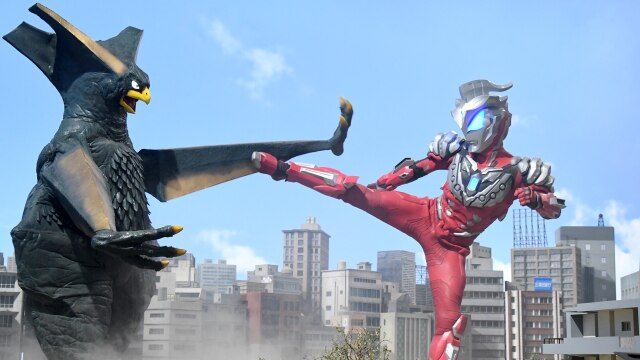 第20話 午前10時の怪鳥