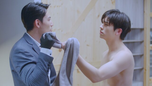 規約第2条 アマゾナイト