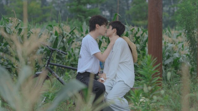 第5話 突き進め　悪党が守ってやる