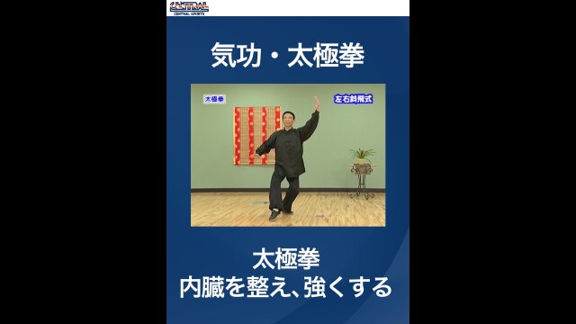 #4 気功・太極拳・太極拳　内臓を整え、強くする