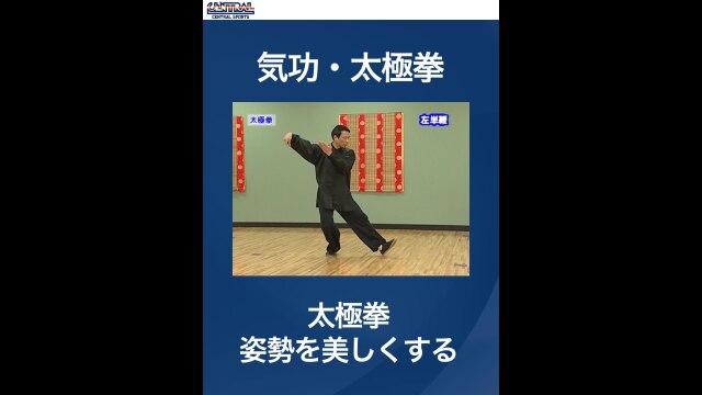 #5 気功・太極拳・太極拳　姿勢を美しくする