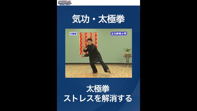 #6 気功・太極拳・太極拳　ストレスを解消する