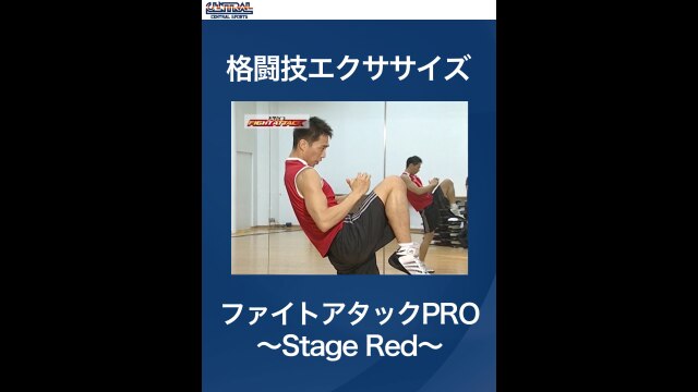 #1 格闘技エクササイズ・ファイトアタックPRO～Stage Red～