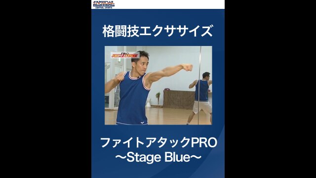 #2 格闘技エクササイズ・ファイトアタックPRO～Stage Blue～