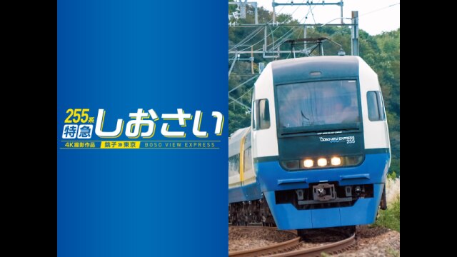 255系 特急しおさい 4K撮影
