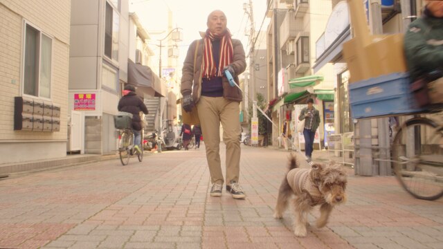 犬が伝えたかったこと