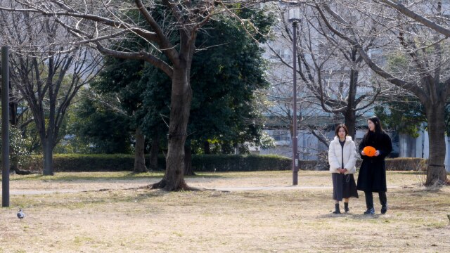 ディス・イヤーズ・モデル