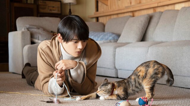 劇場版 ねこ物件