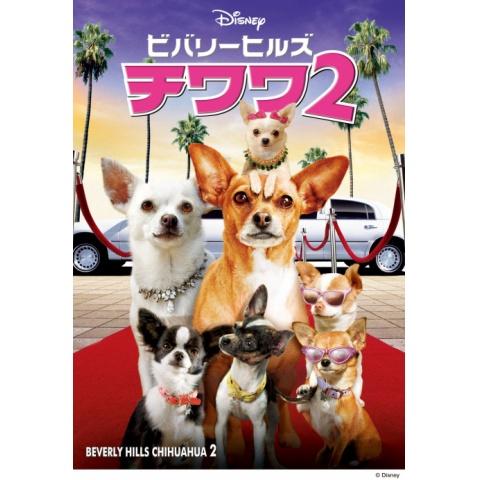 ページ目 10年代映画の動画視聴なら 初月無料 動画配信サービスのビデオマーケット ページ目 10年代映画の動画視聴なら 初月無料 動画配信サービスのビデオマーケット
