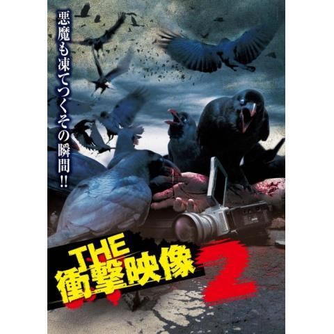 無料視聴あり The 衝撃映像シリーズ 趣味 その他の動画まとめ 初月無料 動画配信サービスのビデオマーケット