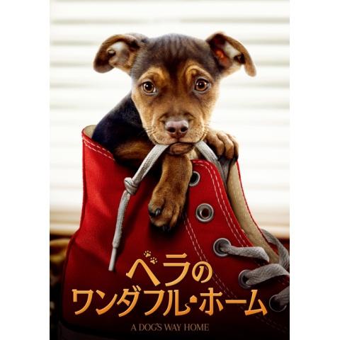 ファミリー 子供向け映画の無料動画一覧 動画配信サービスのビデオマーケット