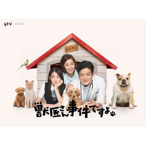 映画 ベルナのしっぽ の動画 初月無料 動画配信サービスのビデオマーケット