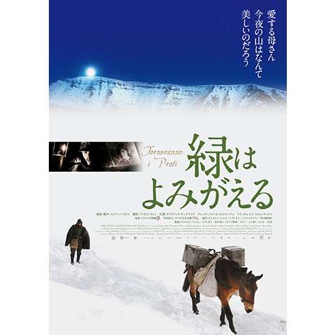 クラウディオ サンタマリアの出演動画まとめ 初月無料 動画配信サービスのビデオマーケット