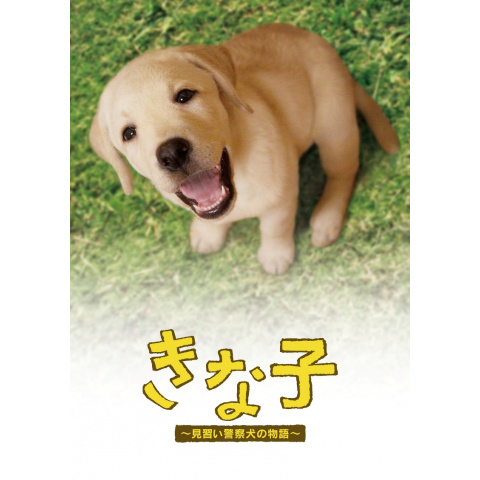 無料視聴あり 映画 きな子 見習い警察犬の物語 の動画 初月無料 動画配信サービスのビデオマーケット