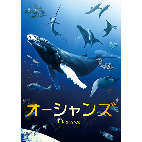 映画 オーシャンズ の動画 初月無料 動画配信サービスのビデオマーケット