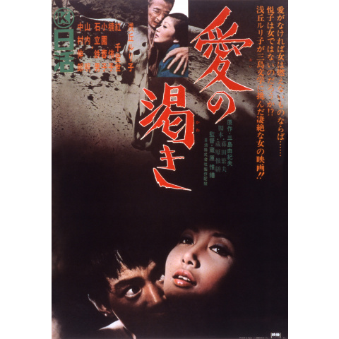 映画 動画 渇き