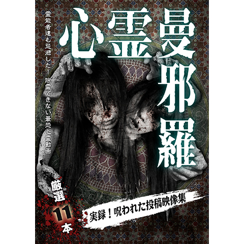 無料視聴あり 趣味 その他 心霊曼邪羅2 実録 呪われた投稿映像集 の動画 初月無料 動画配信サービスのビデオマーケット