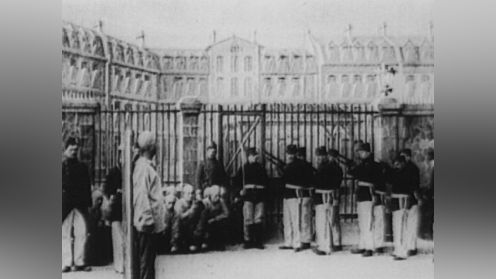 ゼガローグの使い方