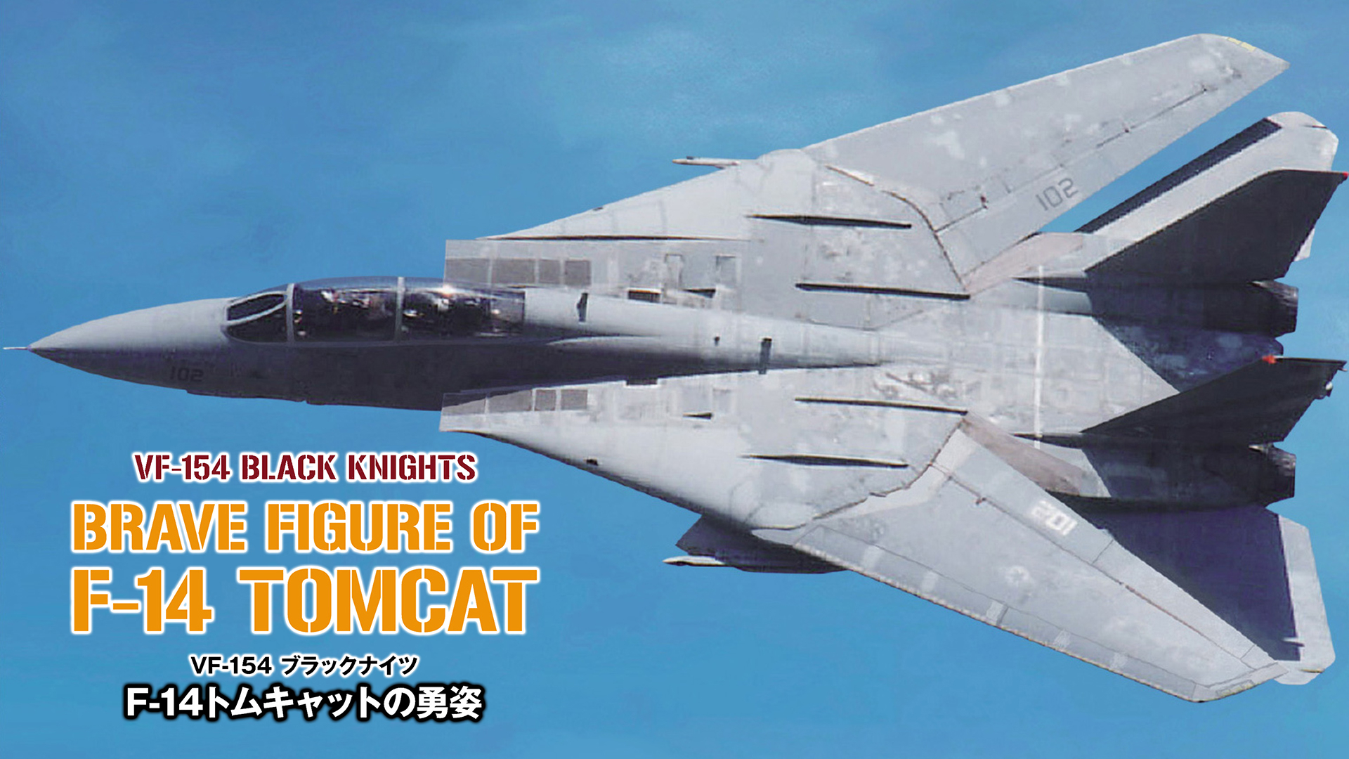 F－14トムキャットの勇姿｜カンテレドーガ【初回30日間無料】